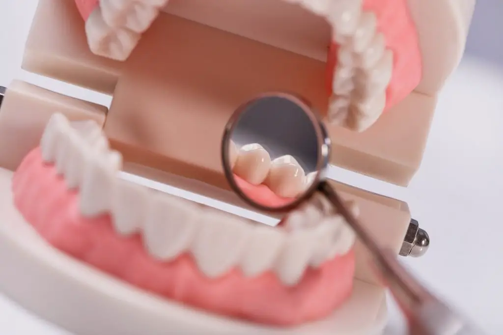 Your Teeth Can Last A Lifetime